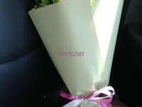 Հոլանդական վարդեր, բարձրորակ վարդեր, պատվիրել նվերներ օնլայն, առաքում