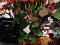 Կարմիր վարդ, ծաղկեփունջ, հոլանդական վարդ, պատվիրել օնլայն, առաքում