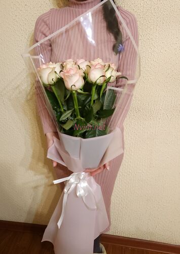 Պատվիրել Հոլանդական վարդեր, օնլայն խանութ Հայաստանում, բարձրորակ վարդե