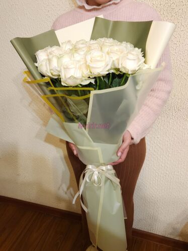 Սպիտակ վարդերի օնլայն պատվեր Հայաստանում, բարձրորակ հոլանդական վարդեր